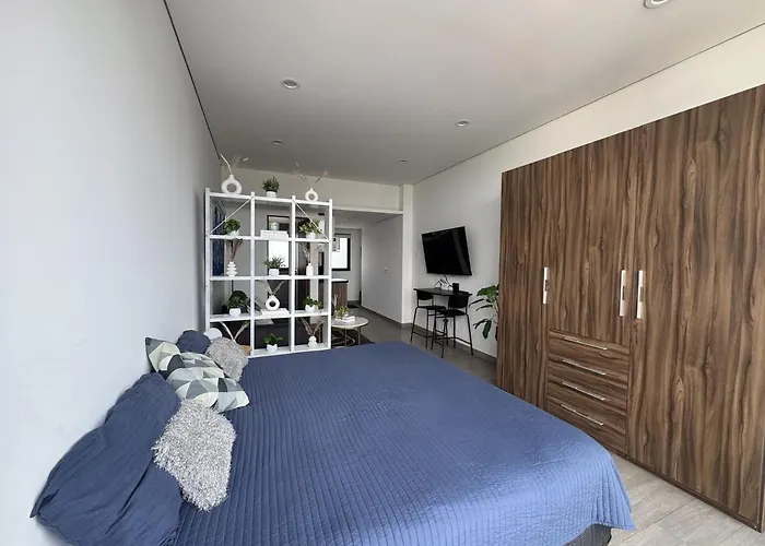Modern Loft With King Bed * Mexiko-Stadt